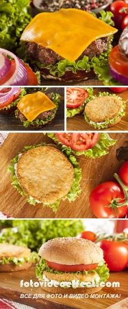  Stock Photo: Gourmet Cheese Burger and Sandwich