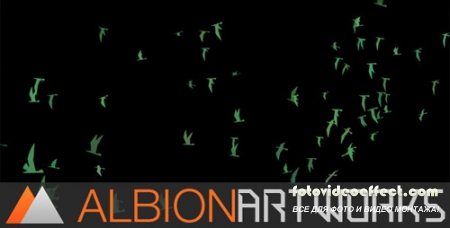 Flocking Bird Generator - Project for After Effects (Videohive)