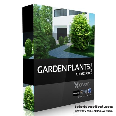 CGAxis Models Volume 19 Garden Plants