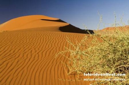 Desert |  - Photostock