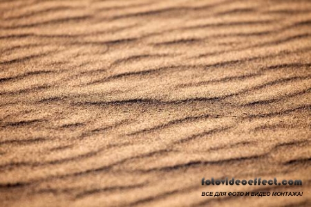 Desert |  - Photostock