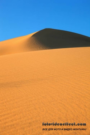 Desert |  - Photostock