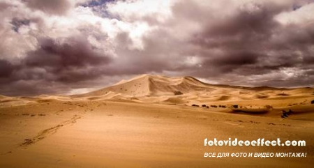 Desert |  - Photostock