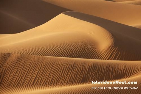 Desert |  - Photostock