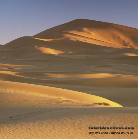 Desert |  - Photostock