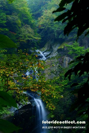 Waterfall |  - Photostock