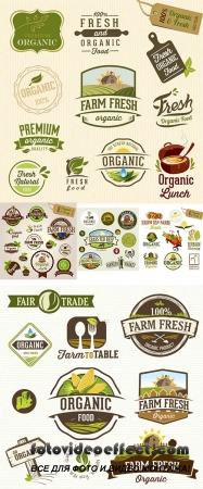 Stock: Set of Fresh Organic labels and elements