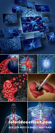 Stock Photo: Human anatomy, viruses and internal