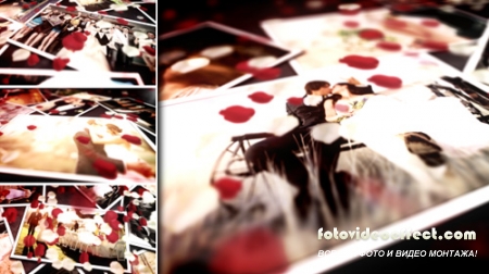 Floral Wedding Photos - Project for After Effects (Videohive)