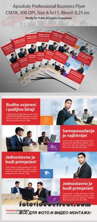 Apsolute Professional Business Flyer
