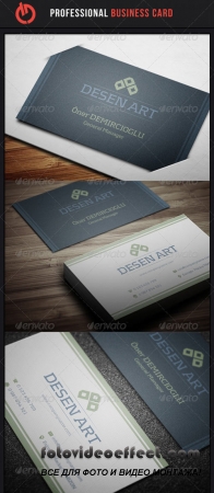 Professional Business Card 6