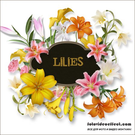 Scrap-kit - Lilies Set