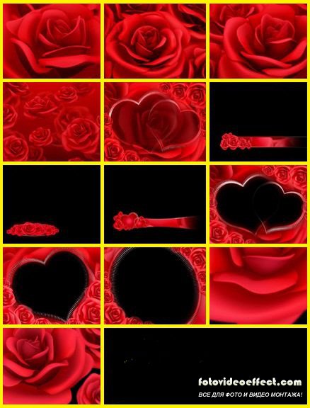 Editor`s Toolbox I Set 071 : Red Roses