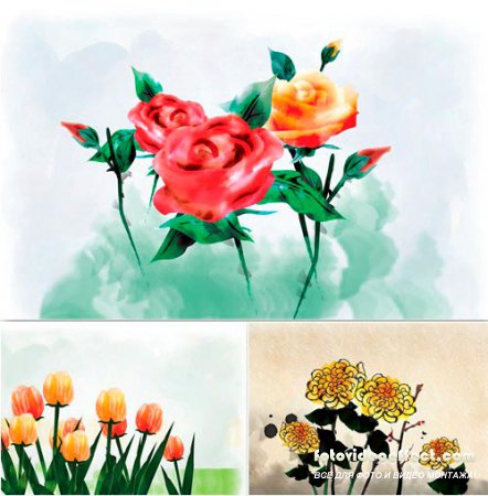 Painting Flowers #6 PSD