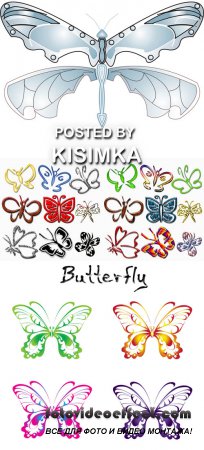 Stock Photo: Butterfly 3