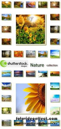 Stock Photo: Nature