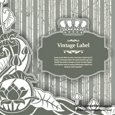 Classic pattern label - vector